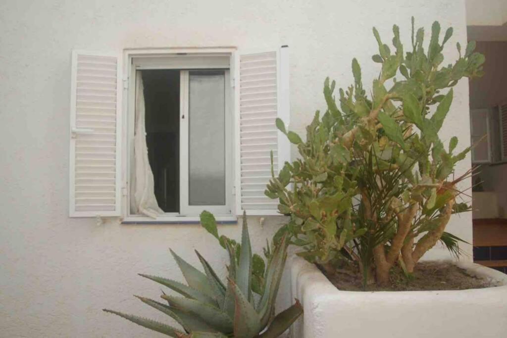 Apartamento A 2 Minutos Andando A La Playa. La Isleta del Moro Ngoại thất bức ảnh